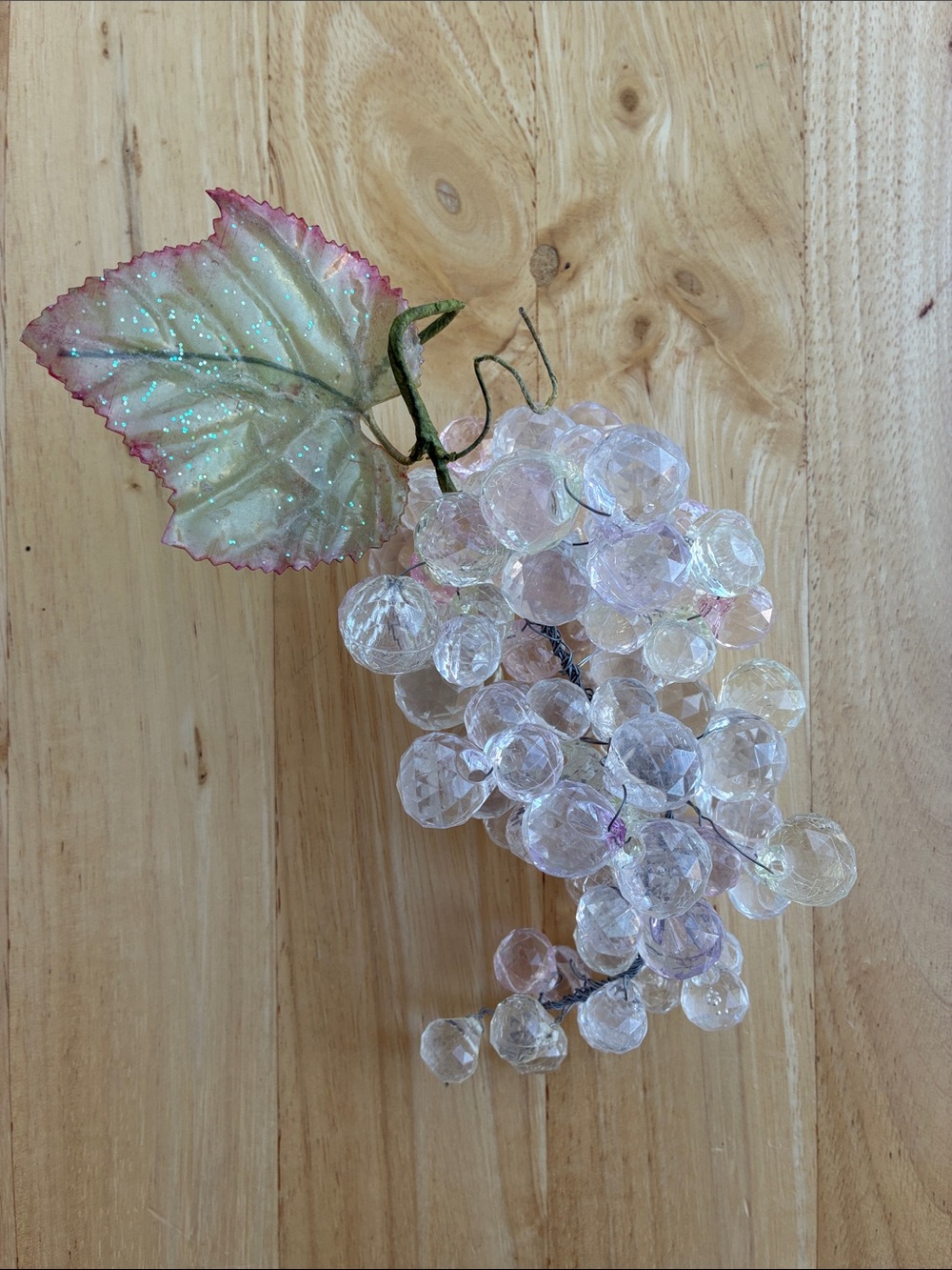 Iridescent  Grape Stem with Pink-Tinted Leaf